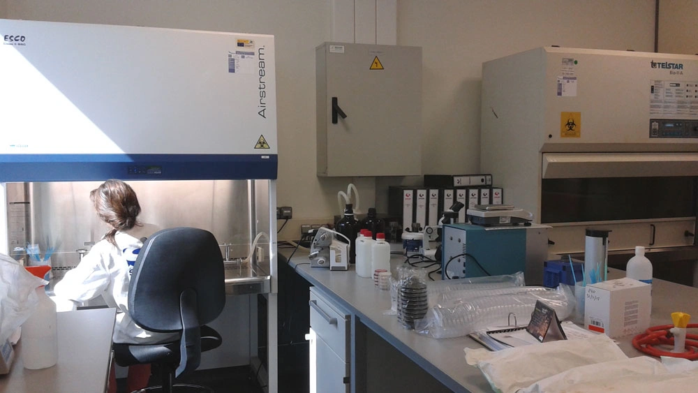 Laboratorio de aguas de Soningeo